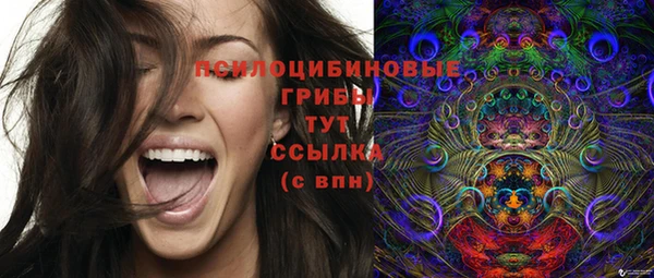 бутират Струнино