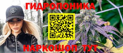 сатива Дубна