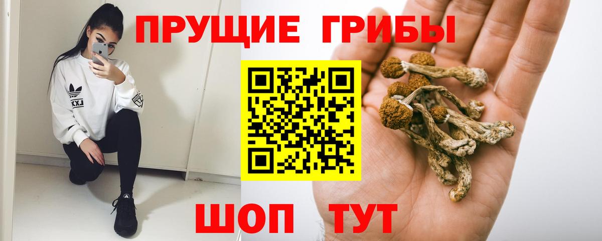 Галлюциногенные грибы Cubensis  Галлюциногенные грибы MAGIC MUSHROOMS  Вход с VPN  Усть-Лабинск 